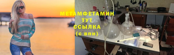 прущие грибы Елабуга